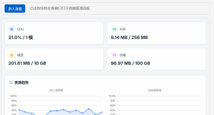 不知道内存256的服务器干啥
