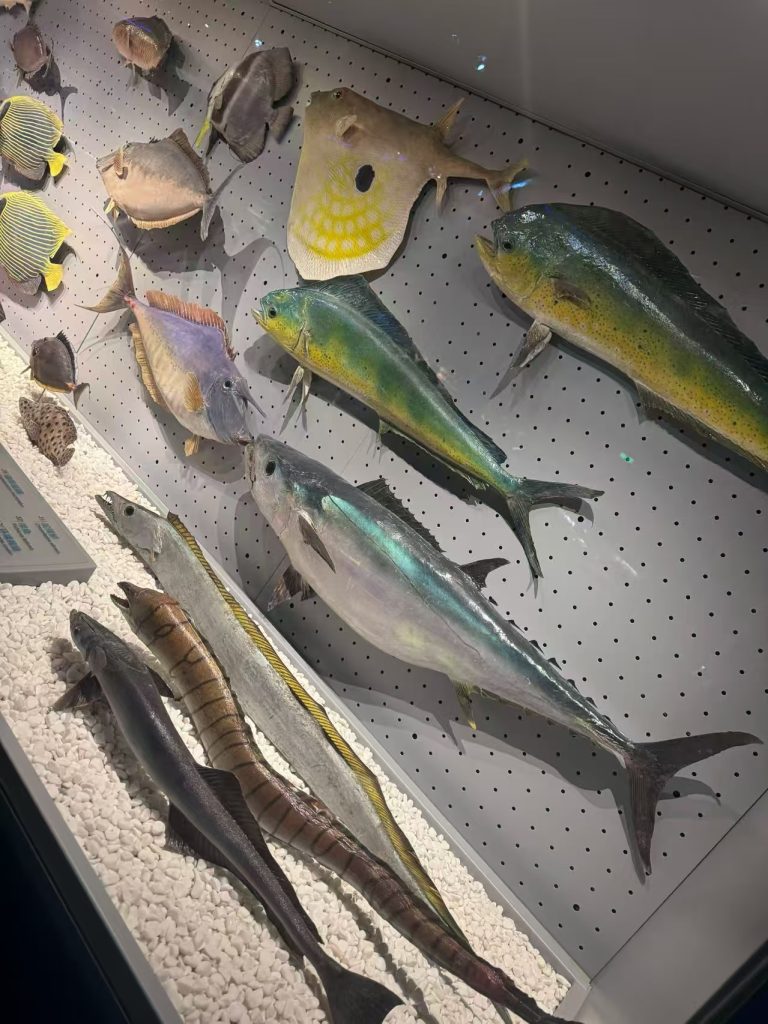 国家海洋公园一日游