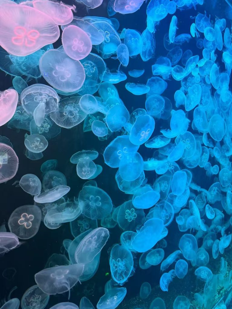 国家海洋公园一日游